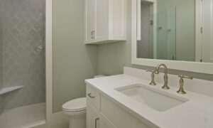Guest bathroom, gray and white