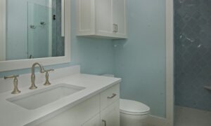 Guest bathroom, light blue, gray and white